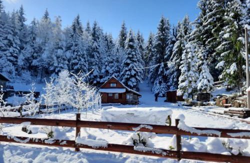 Presika Ski Chalet | Chalet Woody