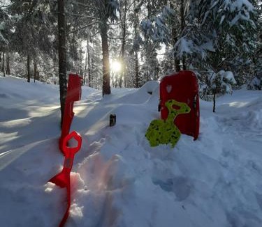 Presika Ski Chalet | Chalet Woody