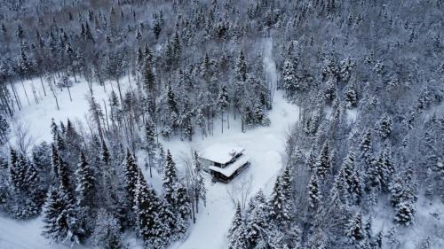 Saint-Damien-de-Buckland Ski Chalet | Chalet Zénitude En Forêt - Spa et Moments Précieux
