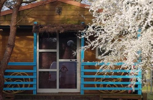 Castets Ski Chalet | Chalet Zen dans les landes