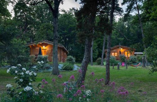 Dieulefit-Bourdeaux Ski Chalet | Chalets du Bois de Vache