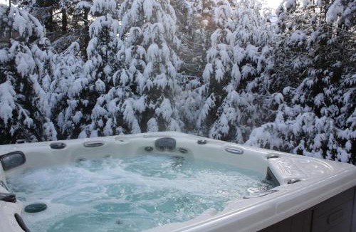 Lac Superieur Village Ski Chalet | Chalets et Studios Le Vent Du Nord