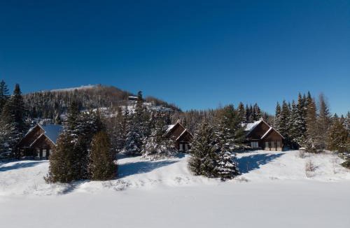 Saint-Faustin-Lac-Carre Ski Chalet | Chalets Royal Laurentien