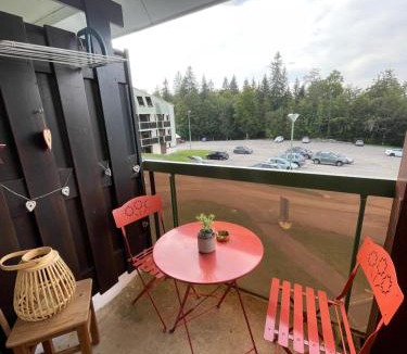 Premanon Apartment | Chaleureux Studio Montagnard avec balcon 2303