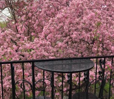 Cody Hotel | Chamberlin Inn