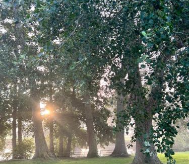 Saint-Germain-de-Varreville Bed & Breakfast | Chambres Vaugoubert