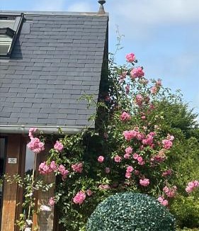 Chamblac Bed & Breakfast | Chambre à la campagne