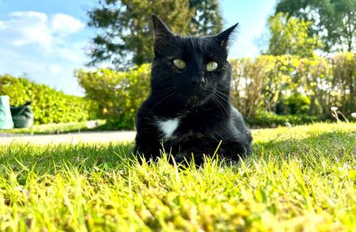 Chamblac Bed & Breakfast | Chambre à la campagne