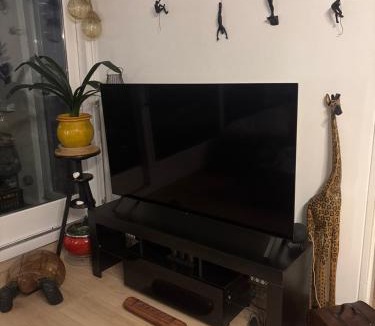 Bron House | Chambre à louer