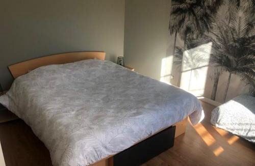 Oasis - Maroc Bed & Breakfast | chambre 24h du mans