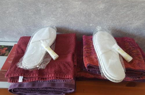 Ceret House | chambre chez l'habitant