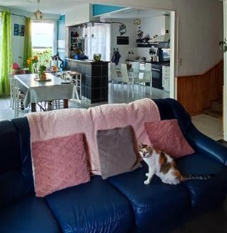 Derval House | Chambre chez l'habitante "Bambou"