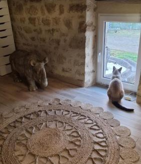 Colomby House | Chambre Colomby Kaabi