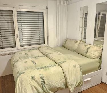 Dietikon District House | Chambre cosy et lumineuse dans un cadre calme