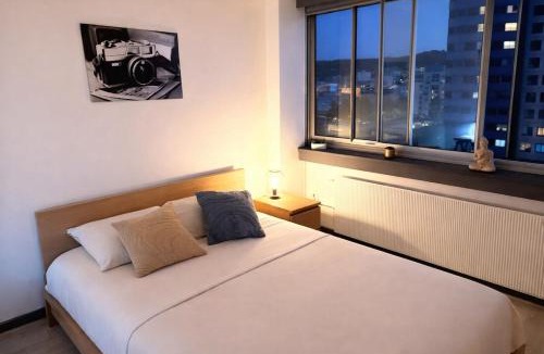 Vandoeuvre-les-Nancy Apartment | Chambre cosy et lumineuse Bureau WiFi rapide Près de Nancy
