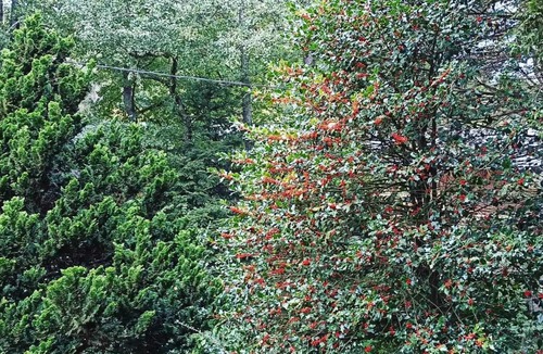 Wangenbourg-Engenthal Bed & Breakfast | Chambre de la Mossig