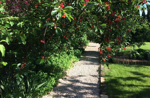 Saint-Loup-Geanges Bed & Breakfast | Chambre D'hôtes Christian Bobin