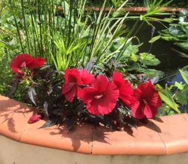 Valence Bed & Breakfast | Chambre d'Hôte Au Fil du Canal 82
