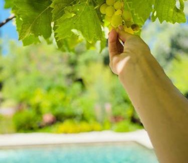 Vallabregues Bed & Breakfast | CHAMBRE D’HÔTE CHARLAMBIAS