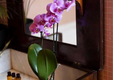 Quesnoy-le-Montant Bed & Breakfast | Chambre d'hôtes Sarah - Château Le Bas Bleu