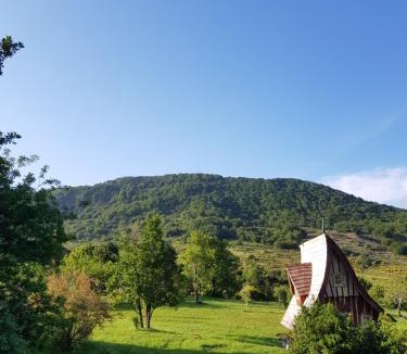 Sederon Bed & Breakfast | Chambre d'hôte insolite