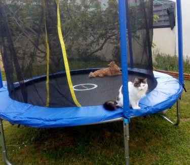 Champtoceaux Bed & Breakfast | chambre d'hôte La Varenne