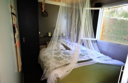 Lacrouzette House | Chambre d'hôtes cosy Le Chalet -Tarn