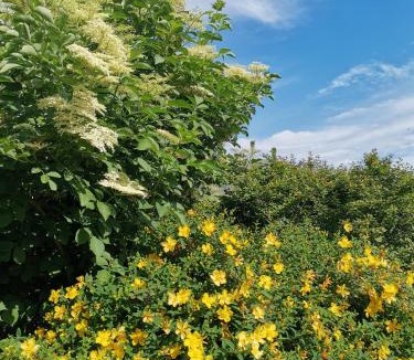 Alando Bed & Breakfast | Chambre d'hôtes couvent d'Alando
