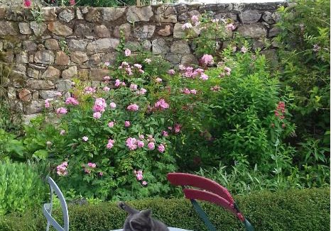 Madre Bed & Breakfast | Chambre d'hôtes de la Bigottière