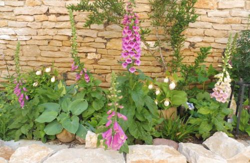 Vernot Bed & Breakfast | Chambre d'hôtes des 3 ifs