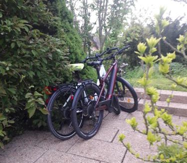 Alteckendorf Bed & Breakfast | Chambre d'hôtes du schneeberg