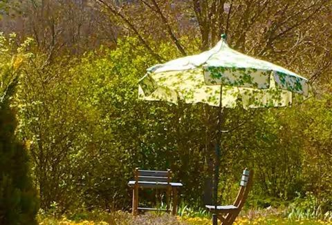 Mas-Saint-Chely Bed & Breakfast | Chambre d'hôtes Ferma Les Aires de la Carline