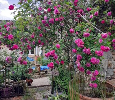 Saint-Crespin-sur-Moine Bed & Breakfast | Chambre d'hôtes