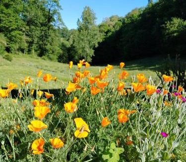 Figeac Bed & Breakfast | Chambre d'hôtes L'ECRIN DU QUERCY