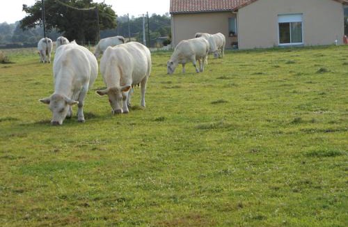 Neuvy-en-Mauges Bed & Breakfast | Chambre D'hôtes La Basse Gougeonnière