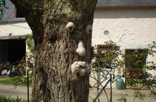 Cheille Bed & Breakfast | Chambre d'hôtes Le Vaujoint