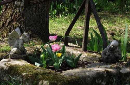 Cheille Bed & Breakfast | Chambre d'hôtes Le Vaujoint