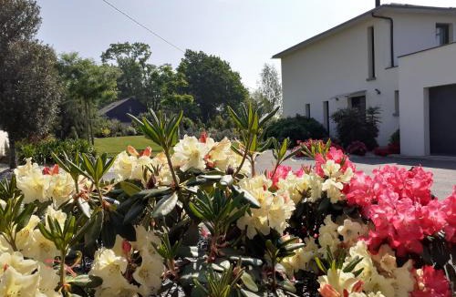 Bruc-sur-Aff Bed & Breakfast | Chambre d'hôtes Les Bruyères