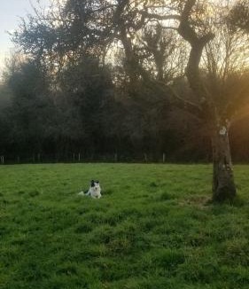 Saint-Brigitte Bed & Breakfast | Chambre d'hôtes Morbihan Gwenva