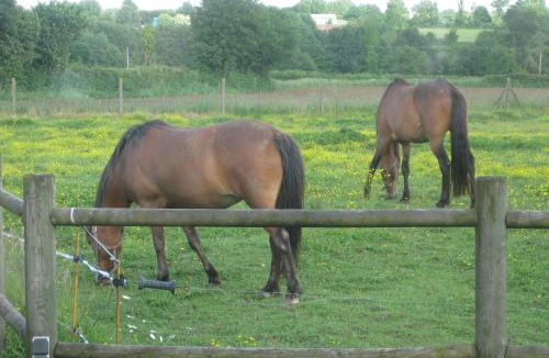 Le Pin Bed & Breakfast | Chambre d'hôtes proche PUY DU FOU