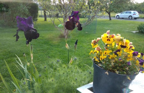 Saint-Pavace Bed & Breakfast | CHAMBRE D'HOTE A 15 MIN DU CIRCUIT DES 24H DU MANS