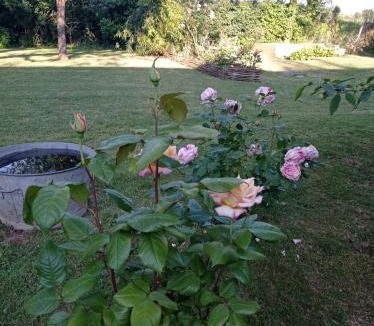 Gapree House | chambre d'hotes à la campagne