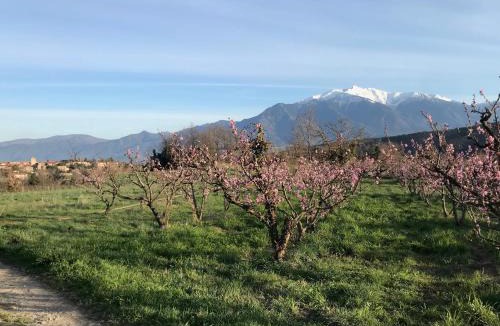 Molitg-les-Bains House | Chambre d'hotes CHEVREFEUILLE