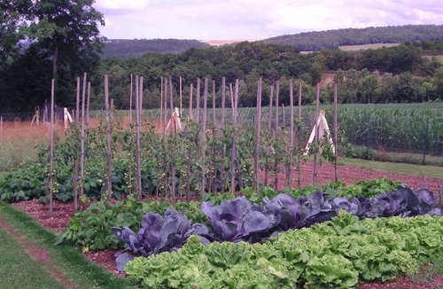 Saint-Remy House | CHAMBRE D'HOTES DE LA MOUSSE