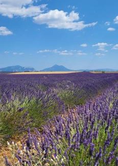 Annot Bed & Breakfast | CHAMBRE D'HOTES SANDRA
