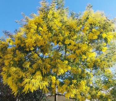 Champniers Bed & Breakfast | chambre d'hotes studio des tourterelles