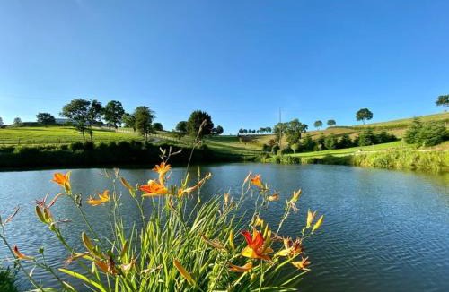 Ferrieres-la-Verrerie Bed & Breakfast | Chambre double Zen