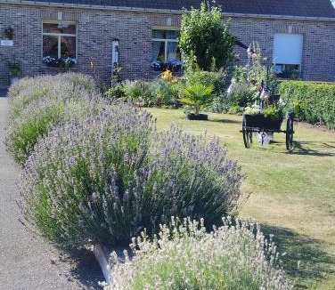 Avroult Bed & Breakfast | Chambre du Hamel