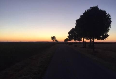 Bust House | chambre en colocation