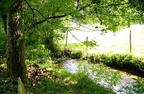 Wangenbourg-Engenthal Bed & Breakfast | Chambre et table d'hôtes du Chant des Sources